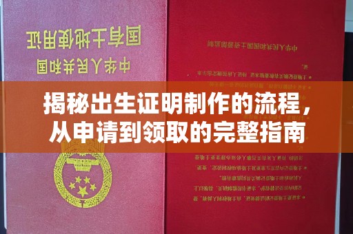 阿坝揭秘出生证明制作的流程，从申请到领取的完整指南